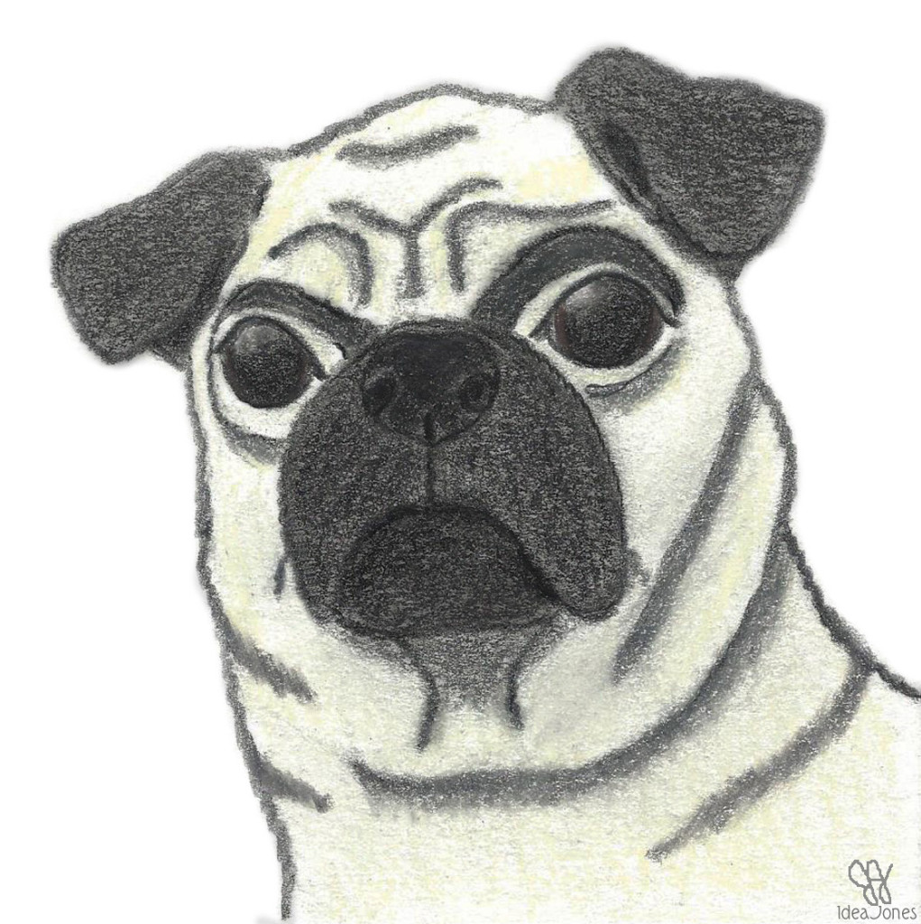 A Profound Hounds painting, "Pugly Is Beautiful," by Joey Jones, IdeaJones