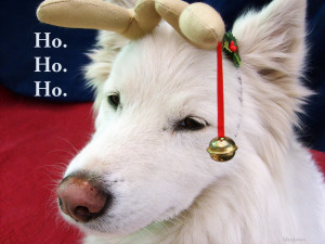 Merlin wishes you happy holidays. Really.