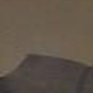 What seems to be one thing is a lot of other things, when it's a digital image.